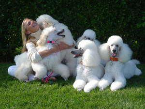 Karen and her dogs
